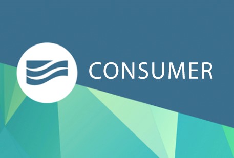Click to see Consumer Digital Banking guide